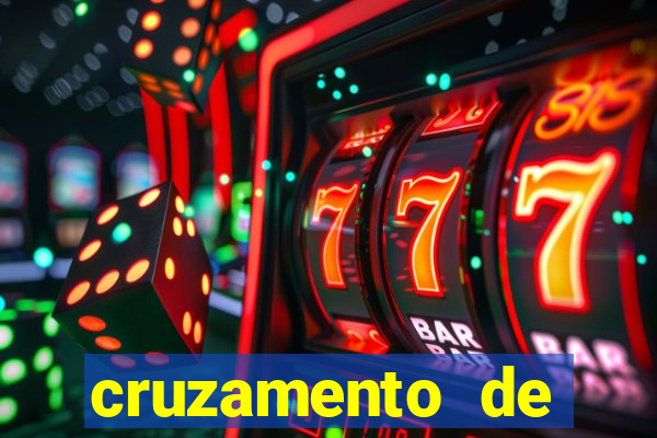 cruzamento de cavalo com mula