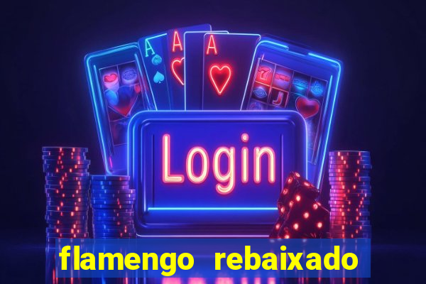 flamengo rebaixado em 1995