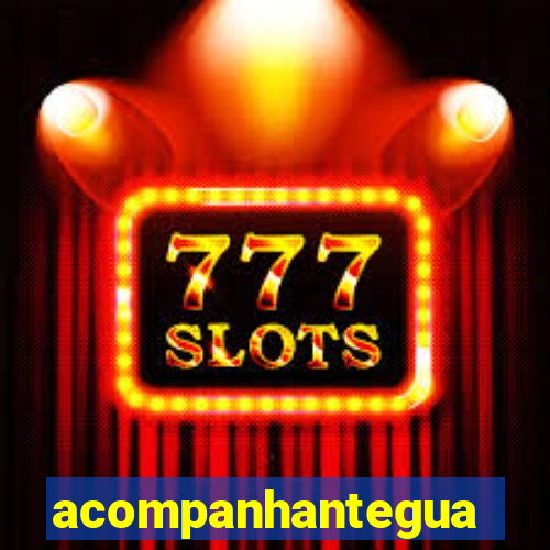 acompanhanteguanambi