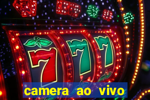 camera ao vivo terminal vila nova cachoeirinha