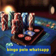 bingo pelo whatsapp