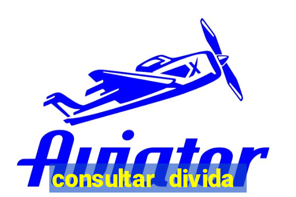 consultar divida casas bahia