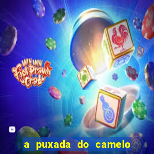 a puxada do camelo no jogo do bicho
