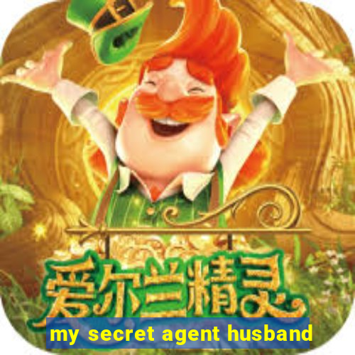 my secret agent husband