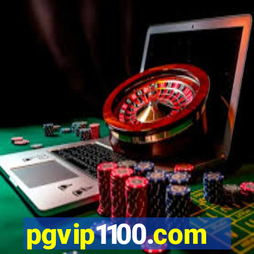 pgvip1100.com