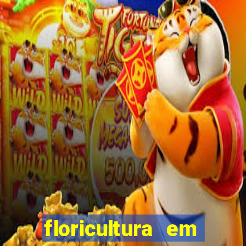 floricultura em lauro de freitas