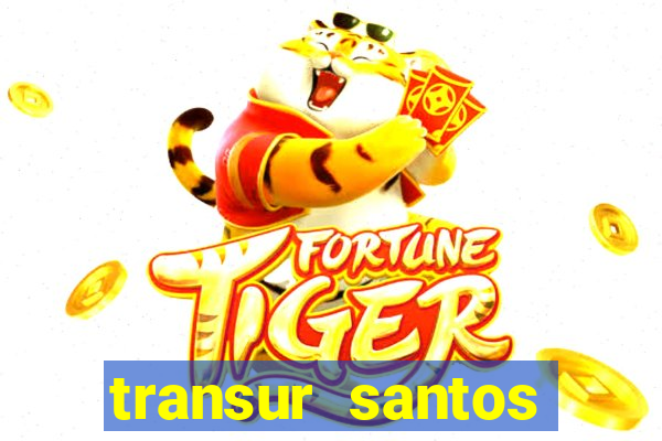 transur santos dumont x juiz de fora 2024