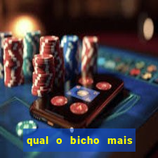 qual o bicho mais velho da loteria dos sonhos