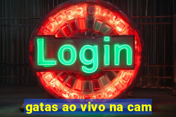 gatas ao vivo na cam