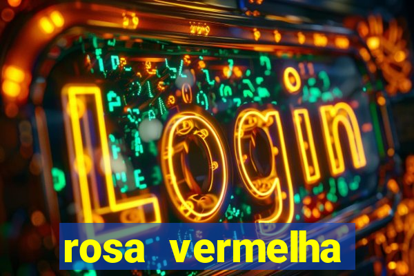 rosa vermelha (letra e cifra)