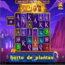 horto de plantas em salvador bahia
