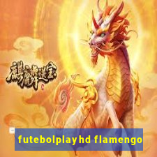 futebolplayhd flamengo