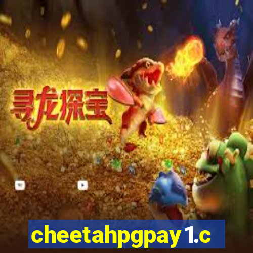 cheetahpgpay1.com
