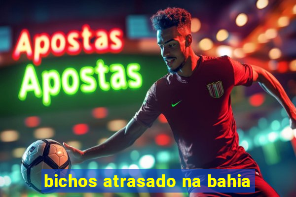 bichos atrasado na bahia