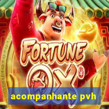 acompanhante pvh
