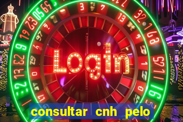 consultar cnh pelo cpf sp