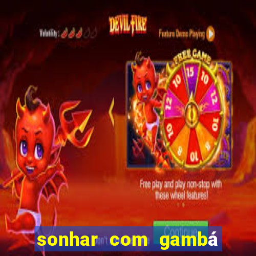 sonhar com gambá jogo do bicho