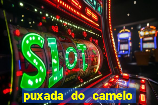 puxada do camelo no jogo do bicho