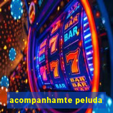 acompanhamte peluda