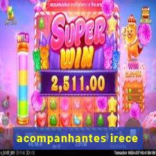 acompanhantes irece