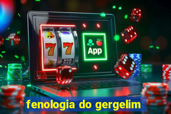 fenologia do gergelim