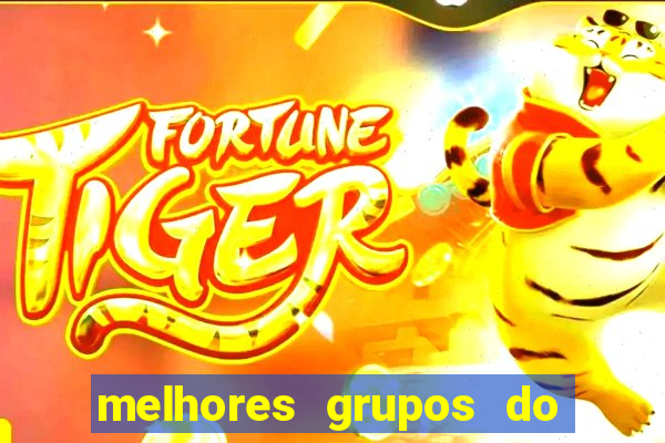 melhores grupos do telegram +18