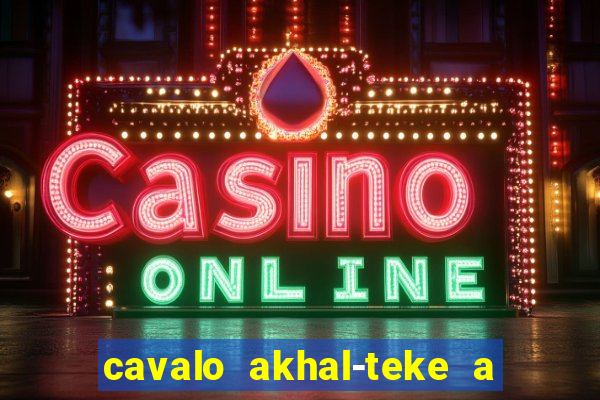 cavalo akhal-teke a venda no brasil cavalo akhal teke no