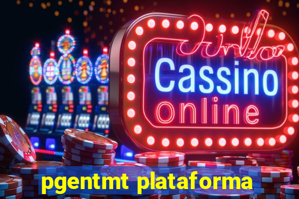 pgentmt plataforma