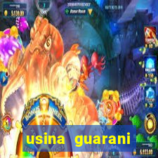 usina guarani tereos tanabi