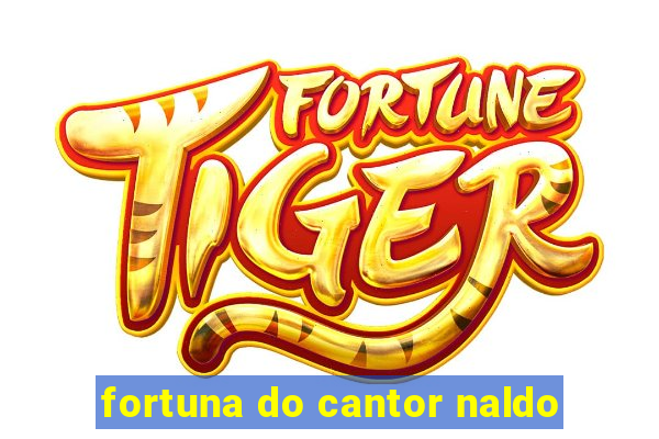 fortuna do cantor naldo