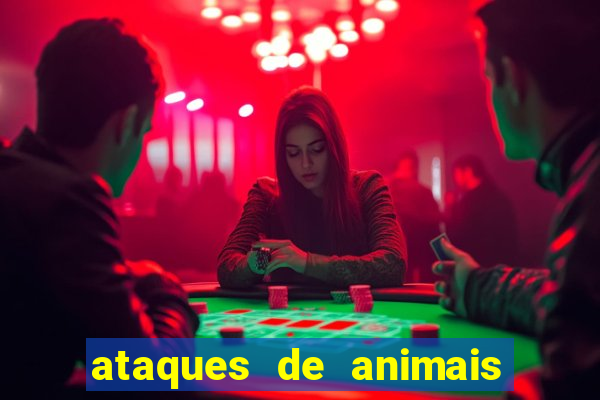 ataques de animais selvagens a humanos fatais