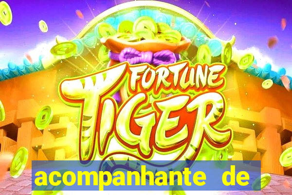 acompanhante de luxo jequié