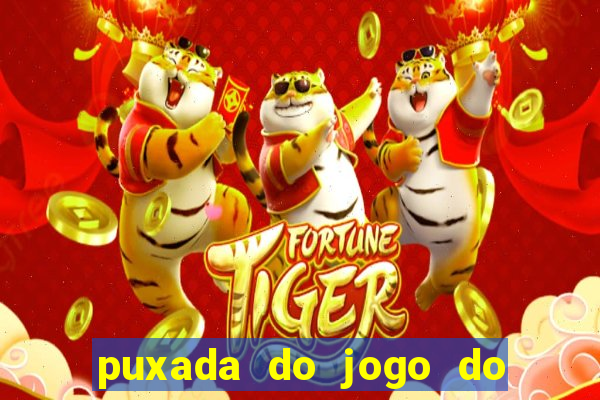 puxada do jogo do bicho da sueli