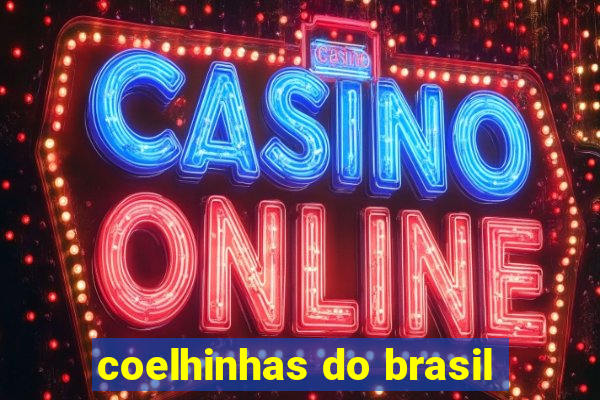 coelhinhas do brasil