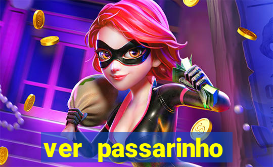 ver passarinho morto significado espiritual
