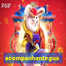 acompanhanteguanambi