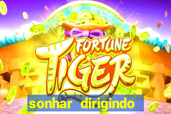 sonhar dirigindo carro jogo do bicho