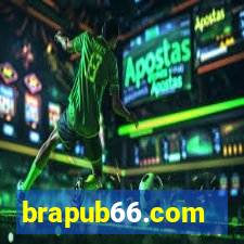 brapub66.com