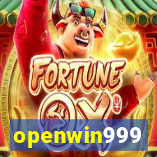 openwin999