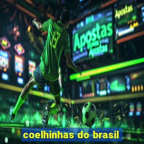coelhinhas do brasil