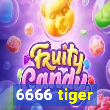 6666 tiger