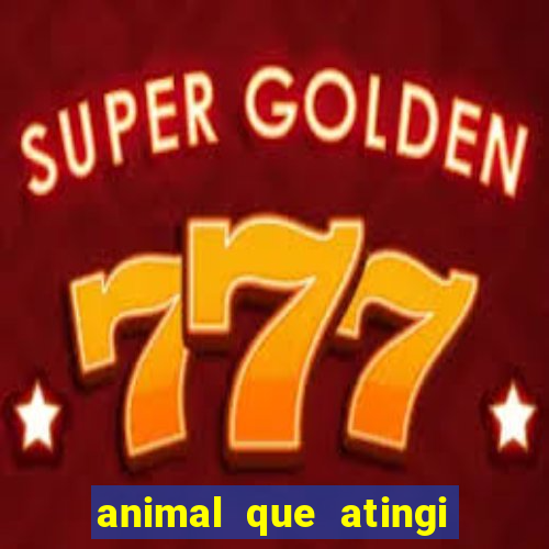 animal que atingi 230 decibeis