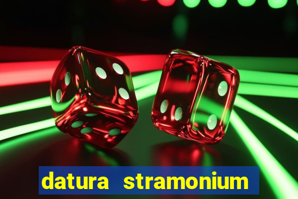datura stramonium medicinal uses