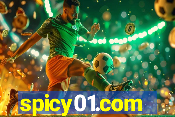 spicy01.com