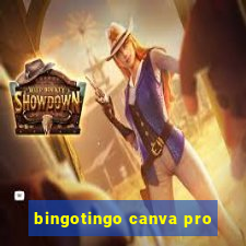 bingotingo canva pro